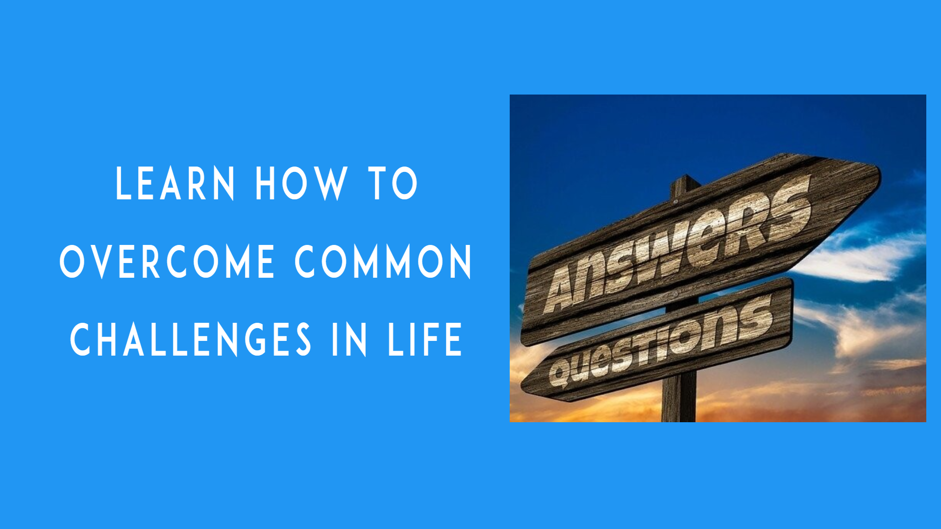 Where to find answers about life.